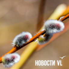 Сегодня во Владивостоке до +7 °C