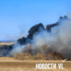 За прошедшие выходные в Приморье зафиксировано 28 природных пожаров общей площадью 579 га