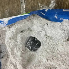 Полиция пресекла канал доставки запрещённых веществ в колонию в Уссурийске 