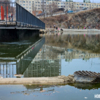 Это не выход канализации, как кто-то мог подумать. А слив для воды. Раньше, когда его не было, в дожди озеро переполнялось и могло выйти из берегов. Теперь не должно — newsvl.ru