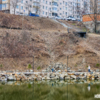 Возможно, в этом месте с косогора текла вода и могла попасть в озеро — newsvl.ru