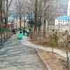Дорожку между сквером и садиком тоже приводят в порядок. Фото: администрация Владивостока — newsvl.ru