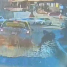 Таксист сбил пенсионерку на переходе в Снеговой Пади и увёз с места ДТП (ВИДЕО)