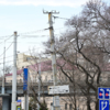  — newsvl.ru