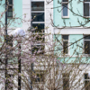  — newsvl.ru