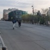  — newsvl.ru