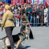  — newsvl.ru