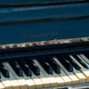 — newsvl.ru