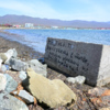 На одном из них красуется весьма красноречивая надпись, словно отсылающая к происходящим событиям  — newsvl.ru