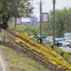 Фото: администрация Владивостока — newsvl.ru
