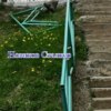 Фото Дмитрия Новикова — newsvl.ru