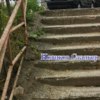 Фото Дмитрия Новикова — newsvl.ru