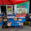 Рыбы на рынке «Пятёрочка» не так много, как на других рынках — newsvl.ru