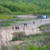 RunDnsRun — newsvl.ru