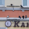  — newsvl.ru