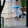  — newsvl.ru