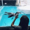 Фото Волгоградского океанариума — newsvl.ru
