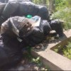 Лесное кладбище 12 мая — newsvl.ru