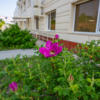  — newsvl.ru