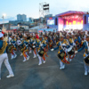  — newsvl.ru