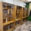 Гостиница для котов на Алеутской — newsvl.ru