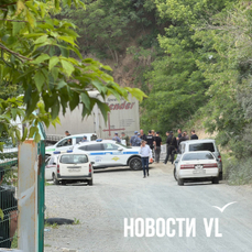 &laquo;Молодой зверь мог убегать от хищника&raquo;: как пойманный охотнадзором гималайский медведь попал во Владивосток