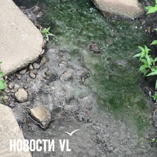 Во Вторую речку снова сливают канализацию