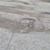 Ямы по дороге к гостинкам на Некрасовской. Фото сделано 1 июля — newsvl.ru