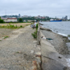 Пляж на Моргородке — newsvl.ru