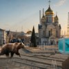 Природа настолько очистится... — newsvl.ru