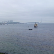 В районе Токаревского маяка заметили радужную плёнку и запах нефтепродуктов (ВИДЕО)