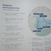 Во Владивостоке намерены изменить лицо центральной площади и пространства от набережной Цесаревича до Морского вокзала — newsvl.ru