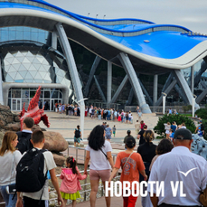Океанариум на Русском острове закрыли из-за отключения света