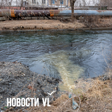 Во Владивостоке ищут хозяев несанкционированных стоков в реку Объяснения