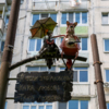 На вороне бусы Нади из “Любовь и голуби”, а лиса символизирует Раису Захаровну  — newsvl.ru