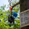 Суханова, 11 — newsvl.ru
