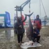 Фото: федерация рыболовного спорта Приморья — newsvl.ru