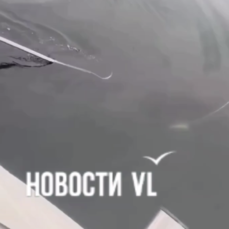 Рыбаки во Владивостоке нашли запутавшегося в верёвке кита и просят для него помощи