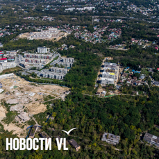 Лес на Садгороде всё-таки продали под застройку – компания, построившая ЖК по соседству, оказалась единственным участником