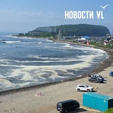 Море в бухте Соболь на Патрокле покрылось белой пеной (ФОТО; ВИДЕО)