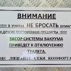 Фото: МКУ «Зелёный Владивосток» — newsvl.ru