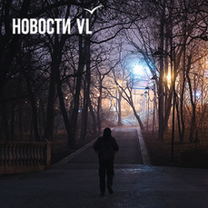 Спустя год после поломки в Покровском парке во Владивостоке восстановят освещение
