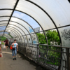 Заря — newsvl.ru