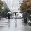  — newsvl.ru
