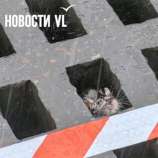 Выходные во Владивостоке будут облачными и с дождём