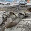  — newsvl.ru