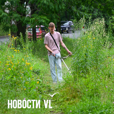 Как самому покосить траву во Владивостоке и почему это не так сложно, как могло показаться