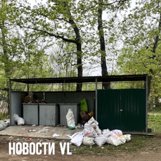 В пригороде Владивостока оборудуют почти 20 новых контейнерных площадок для мусора