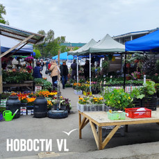 Во Владивостоке оштрафовали предпринимателей, которые пытаются торговать на развалинах Спортивного рынка (ВИДЕО)