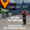  — newsvl.ru